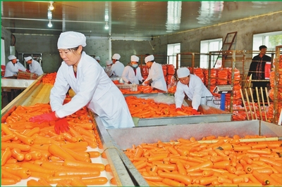 從沃土到市場 雙鴨山苗木產(chǎn)業(yè)如何實(shí)現(xiàn)“種得好”與“賣得好”的共贏